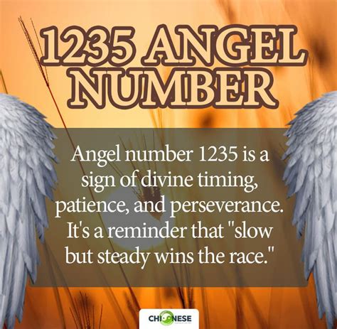 1235 angel number|1235 Angel Number: Surprising & Powerful Meanings